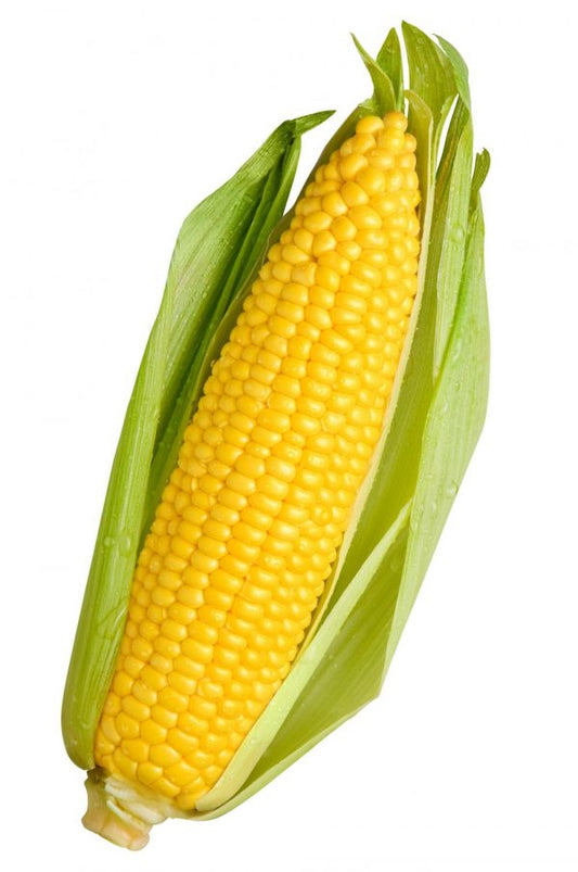 corn (organic) each