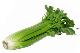 celery (organic) bunch