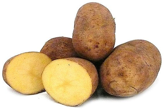 potatoes dutch cream (organic) per kg