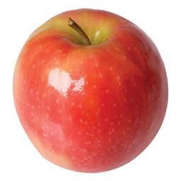 apple pink lady (organic) 1KG