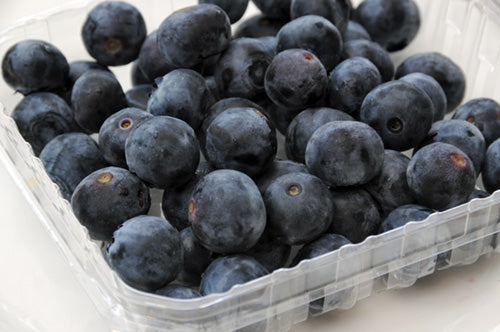 blueberries (organic) punnet