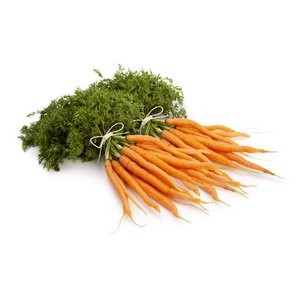 carrots dutch (organic) bunch