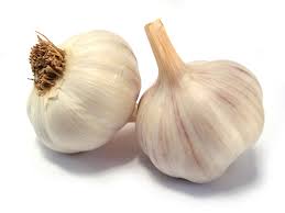 garlic  (organic) per 100g