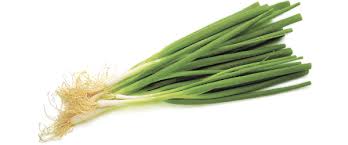 onions spring (organic) bunch